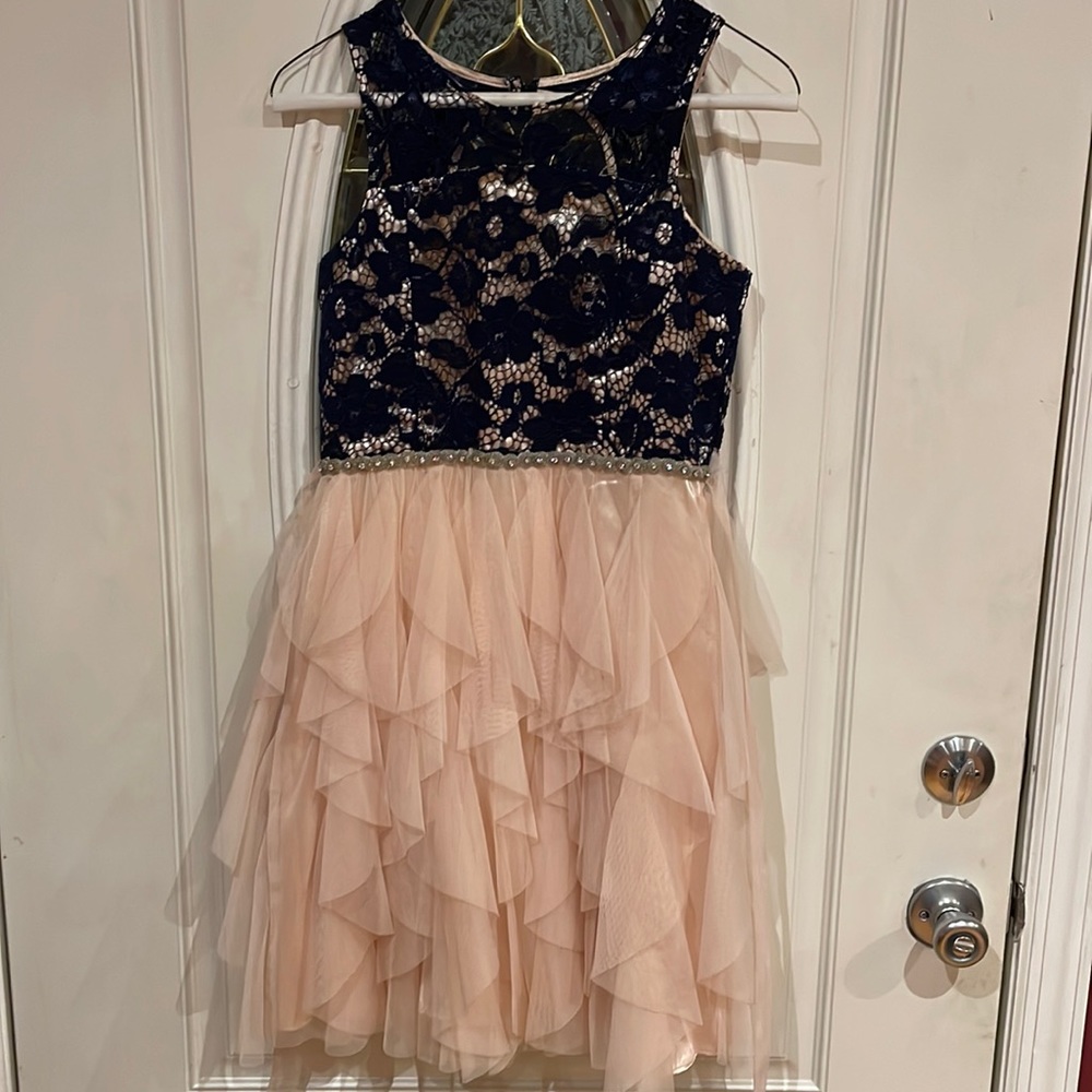 navy blue lace bodice with pink tulle dress
